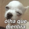 olha que mentira