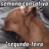 Play na semana 15