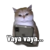 Vaya vaya 🙄😏 14