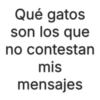Qué gatos son los que no contestan mis mensajes