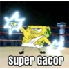 D Super Gacor