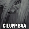 Mr. Silver Homichiper 13