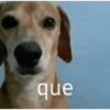 Memes + reações das boas 10