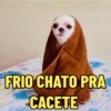 FRIO CHATO PRA CACETE