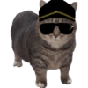 Akmal Cat oiia 6