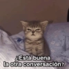 No me dejes en visto 16