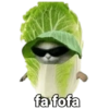 fa fofa