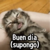 Buen día (supongo)