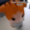 Tu no eres mi papá cuyeyo