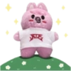 SKZOO ATE EMOTICON 1 10