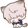 Xavier Kitty 14