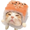 Kucing lucu cat cute 7