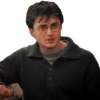 Harry potter 29