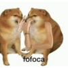 Memes mais usados 8