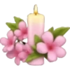 Spring emoji iPhone🌺 13