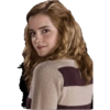 Harry potter 26