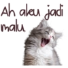 Kucing Lucu 14
