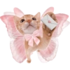 Coquette pink aesthetic 18