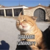 HAAAAAH GIMANA??