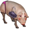 Reações  7
