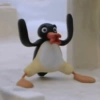 Pingu 7