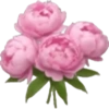 Spring emoji iPhone🌺 12