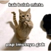 kak boleh minta pap imutnya gak