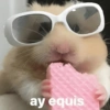 ay equis