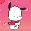 Pochacco 24