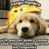 Frases de amor 13