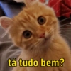 tá tudo bem?