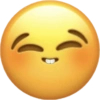Emoji iPhone ios plenger  14