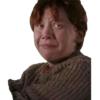 Harry potter 15