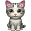 Spring emoji iPhone🌺 11