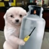 Más Animalitos!  🙊🐕 13