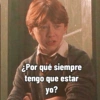 Harry Potter 🪄 16