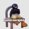 Pingu 17