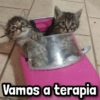 Vamos a terapia