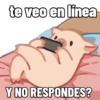 te veo en línea Y NO RESPONDES?