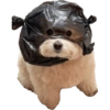 Memes 31 23