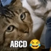 ABCD