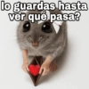 lo guardas hasta ver qué pasa? geysioy