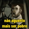Para reagir 9