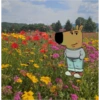 New chill guy 8