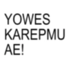 YOWES KAREPMU AE!