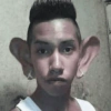 Memes floptok 6