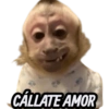 CALLATE AMOR