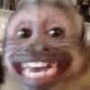 MACAQUINHO FOFO ❤️ 5