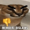 MEMBERI DISLAIKS