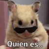 Animaleitos gracioso😸 10